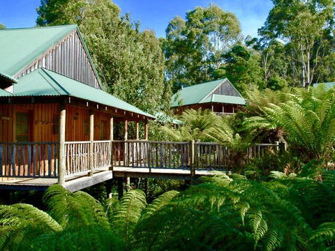 Lemonthyme Wilderness Retreat - Rent Accommodation 11