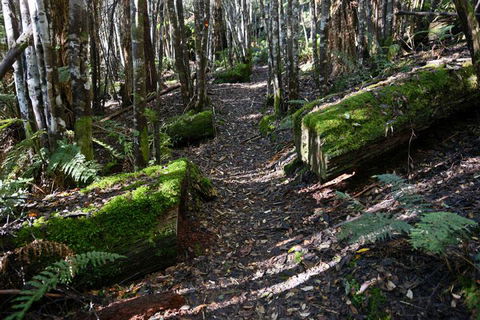 Lemonthyme Wilderness Retreat - Rent Accommodation 22