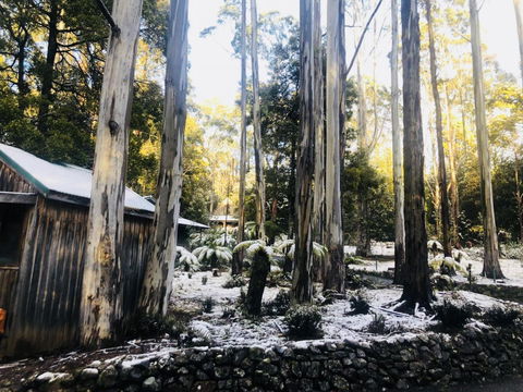 Lemonthyme Wilderness Retreat - Rent Accommodation 6