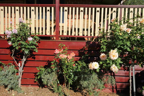 Oxford Rise Apartment - Rent Accommodation 21