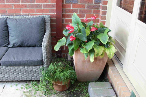Oxford Rise Apartment - Rent Accommodation 16