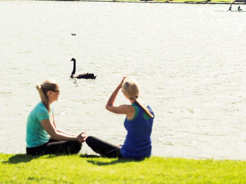 Mercure Melbourne Albert Park - Rent Accommodation 39