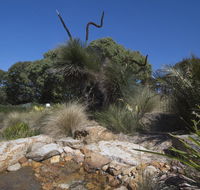 The Lakes Beachfront Holiday Park - Rent Accommodation