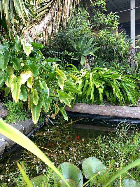 Sunryes Beach House - Rent Accommodation 30