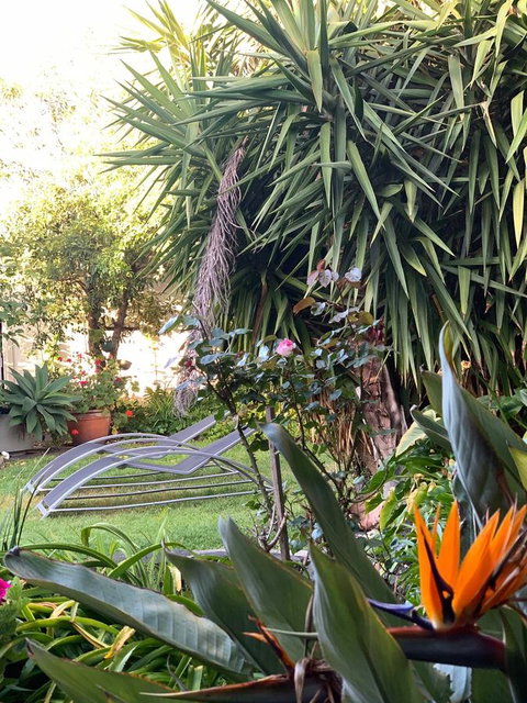 Sunryes Beach House - Rent Accommodation 32