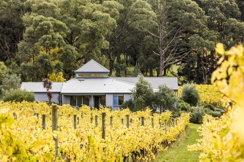 Polperro Villas - Rent Accommodation 22