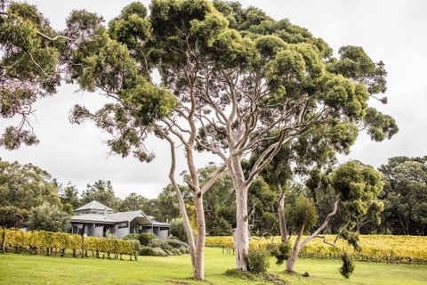 Polperro Villas - Rent Accommodation 20
