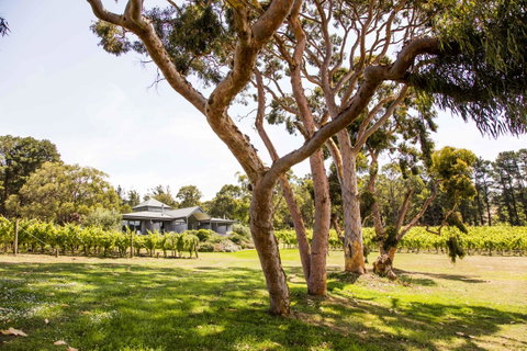 Polperro Villas - Rent Accommodation 17
