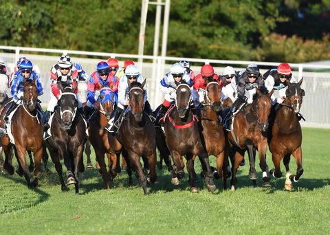 Best Western Airport 85 Motel - Rent Accommodation 10