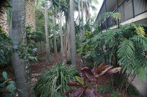 Best Western Airport 85 Motel - Rent Accommodation 34