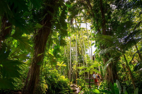 Cairns Colonial Club Resort - Rent Accommodation 22