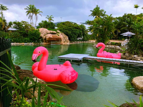 Cairns Colonial Club Resort - Rent Accommodation 6