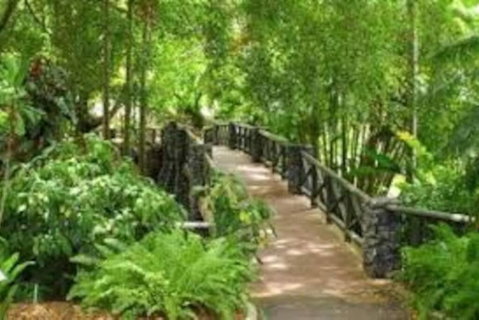 Paddington Pad With Back Deck And Free Car Space Close To Suncorp - Rent Accommodation 2