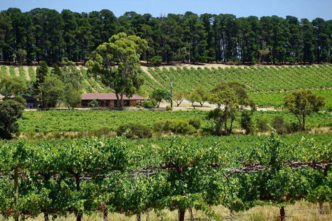Picturesque Vineyard Farmhouse Nestled On 40-Acres - Rent Accommodation 0