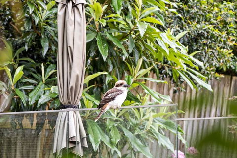 Quaint Queen Room - Central Location At Pymble - Shared Bathroom - Rent Accommodation 1