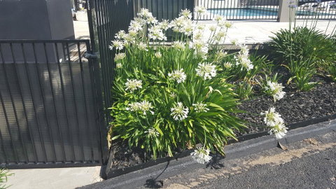 Bathurst Gold Panner - Rent Accommodation 1