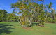 Seagrass - thumb 3