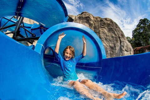 BIG4 Tweed Billabong Holiday Park - Rent Accommodation 3
