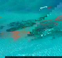 Private Tangalooma Wrecks Tour - Rent Accommodation