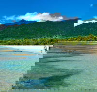 5-Day Best of Cairns with Daintree Kuranda and Great Barrier Reef - Rent Accommodation