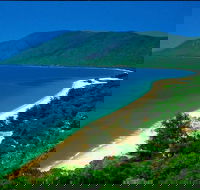 Cairns Reef and Rainforest Combo Daintree Rainforest and the Great Barrier Reef - Rent Accommodation