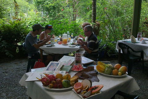 Cairns Reef And Rainforest Combo: Daintree Rainforest And The Great Barrier Reef - Rent Accommodation 3