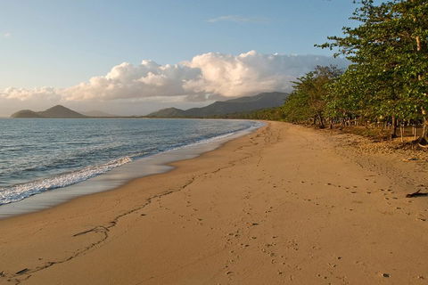 Cairns Reef And Rainforest Combo: Daintree Rainforest And The Great Barrier Reef - Rent Accommodation 4