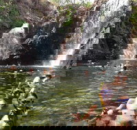 Litchfield National Park and Jumping Crocodile Cruise - Rent Accommodation