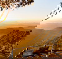 O'Reilly's  Lamington National Park incl. Alpaca Farm  Vineyard - Rent Accommodation