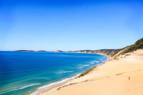 Kayak With Dolphins And 4WD Great Beach Drive Day Trip From Noosa - Rent Accommodation 0