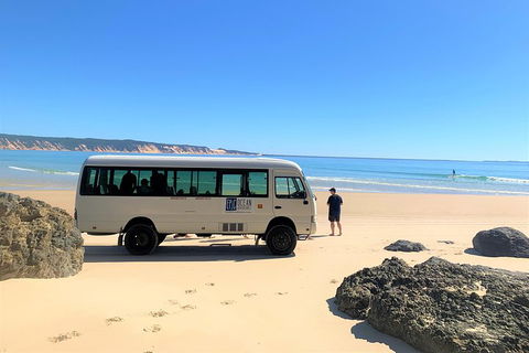 Kayak With Dolphins And 4WD Great Beach Drive Day Trip From Noosa - Rent Accommodation 4