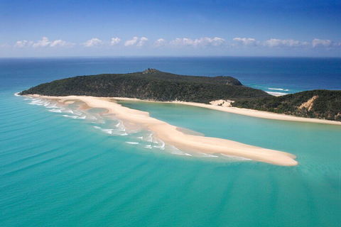 Kayak With Dolphins And 4WD Great Beach Drive Day Trip From Noosa - Rent Accommodation 5
