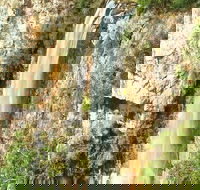 Private Tour - Rainforest  Waterfalls Extravaganza - Rent Accommodation