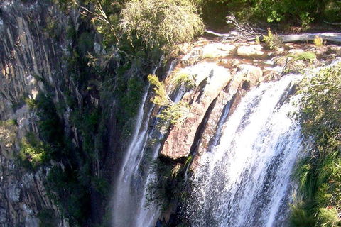 Byron Bay Combo: Hinterland Tour Including Minyon Falls And Kayaking With Dolphins - Rent Accommodation 3