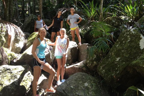 Byron Bay Combo: Hinterland Tour Including Minyon Falls And Kayaking With Dolphins - Rent Accommodation 4