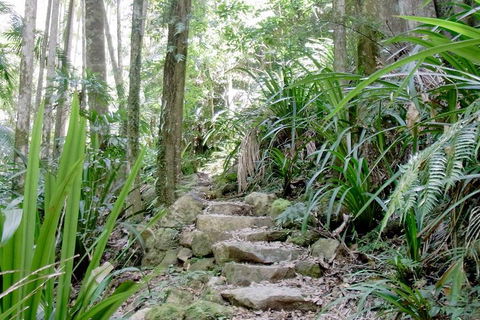 Byron Bay Combo: Hinterland Tour Including Minyon Falls And Kayaking With Dolphins - Rent Accommodation 5