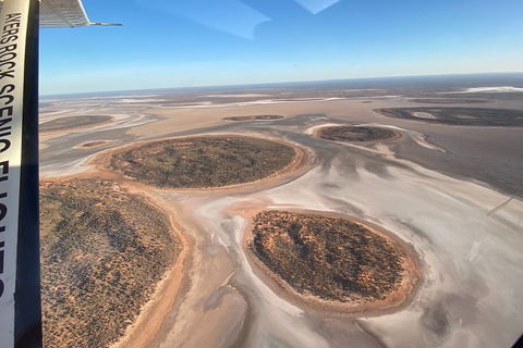 Scenic Flight: Lizard Safari - Rent Accommodation 1