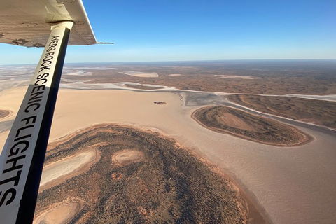 Scenic Flight: Lizard Safari - Rent Accommodation 3