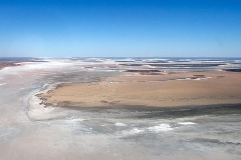 Scenic Flight: Lizard Safari - Rent Accommodation 4