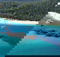 All Inclusive Tangalooma Wrecks Cruise Tour From Gold Coast - Rent Accommodation
