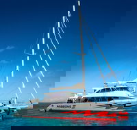 Passions of Paradise Great Barrier Reef Snorkel and Dive Cruise from Cairns by Luxury Catamaran - Rent Accommodation