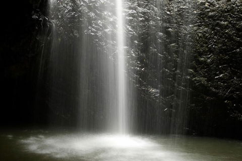 Natural Bridge Glow Worm Night Tour From Gold Coast - Rent Accommodation 2