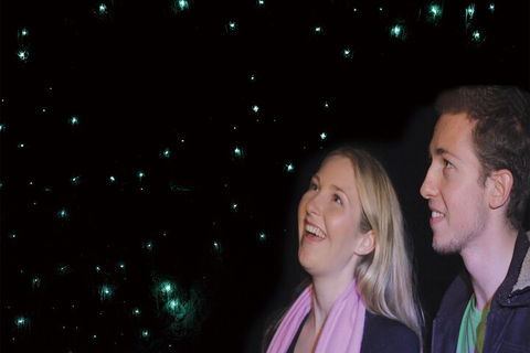 Natural Bridge Glow Worm Night Tour From Gold Coast - Rent Accommodation 3