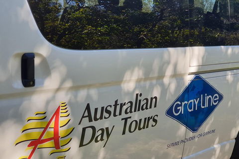 Natural Bridge Glow Worm Night Tour From Gold Coast - Rent Accommodation 5