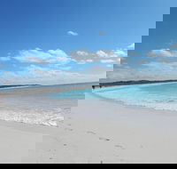 Shipwreck Special Nature Tour/Half Day Tour - Rent Accommodation