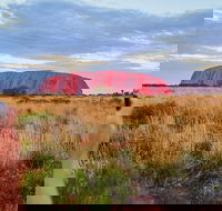 Uluru Ayers Rock Sunset with Outback Barbecue Dinner and Star Tour - Rent Accommodation