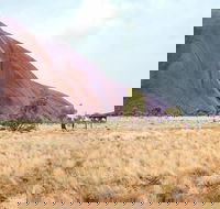 Uluru Sunrise and Guided Base Walk - Rent Accommodation