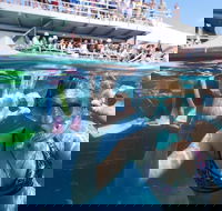 Great Barrier Reef Day Cruise from Cairns Including Snorkeling and Marine Biologist Presentation - Rent Accommodation