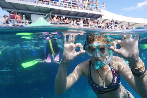 Great Barrier Reef Day Cruise From Cairns Including Snorkeling And Marine Biologist Presentation - Rent Accommodation 0