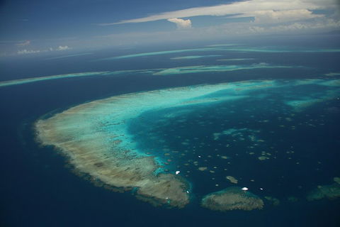 Great Barrier Reef Day Cruise From Cairns Including Snorkeling And Marine Biologist Presentation - Rent Accommodation 1